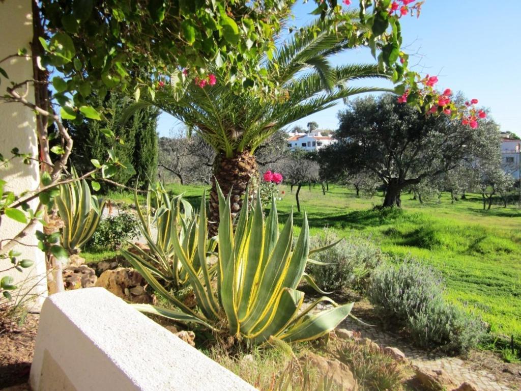 Quinta Mimosa Hotel Loulé Kamer foto